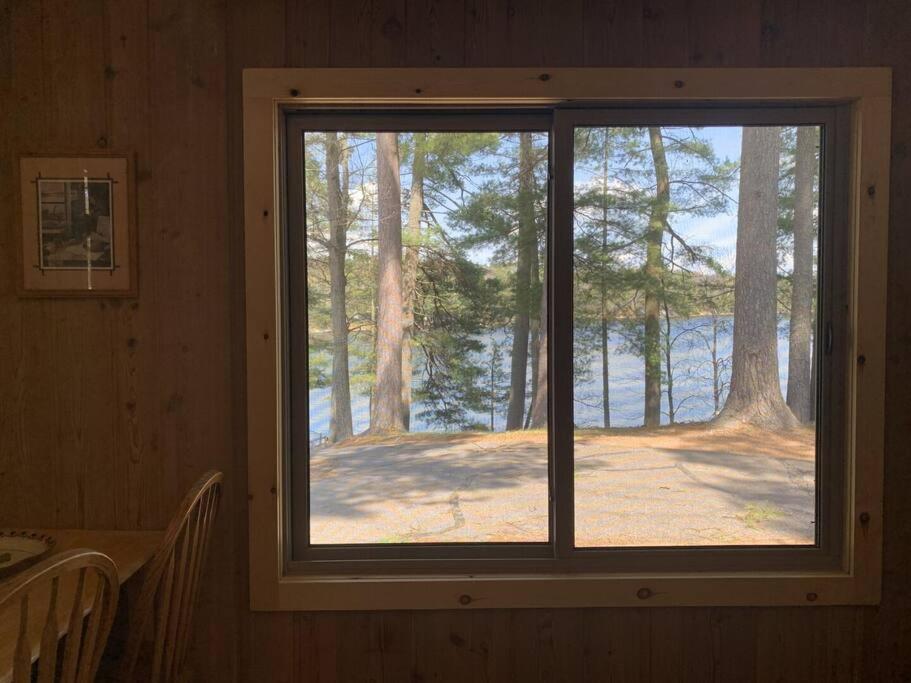 Black Bear Lodge-Bear Trap #3 Saint Germain 외부 사진